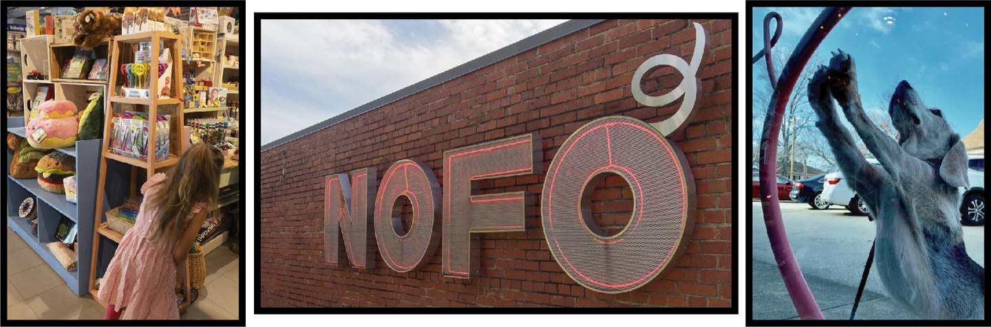 NOFO at the Pig in Raleigh