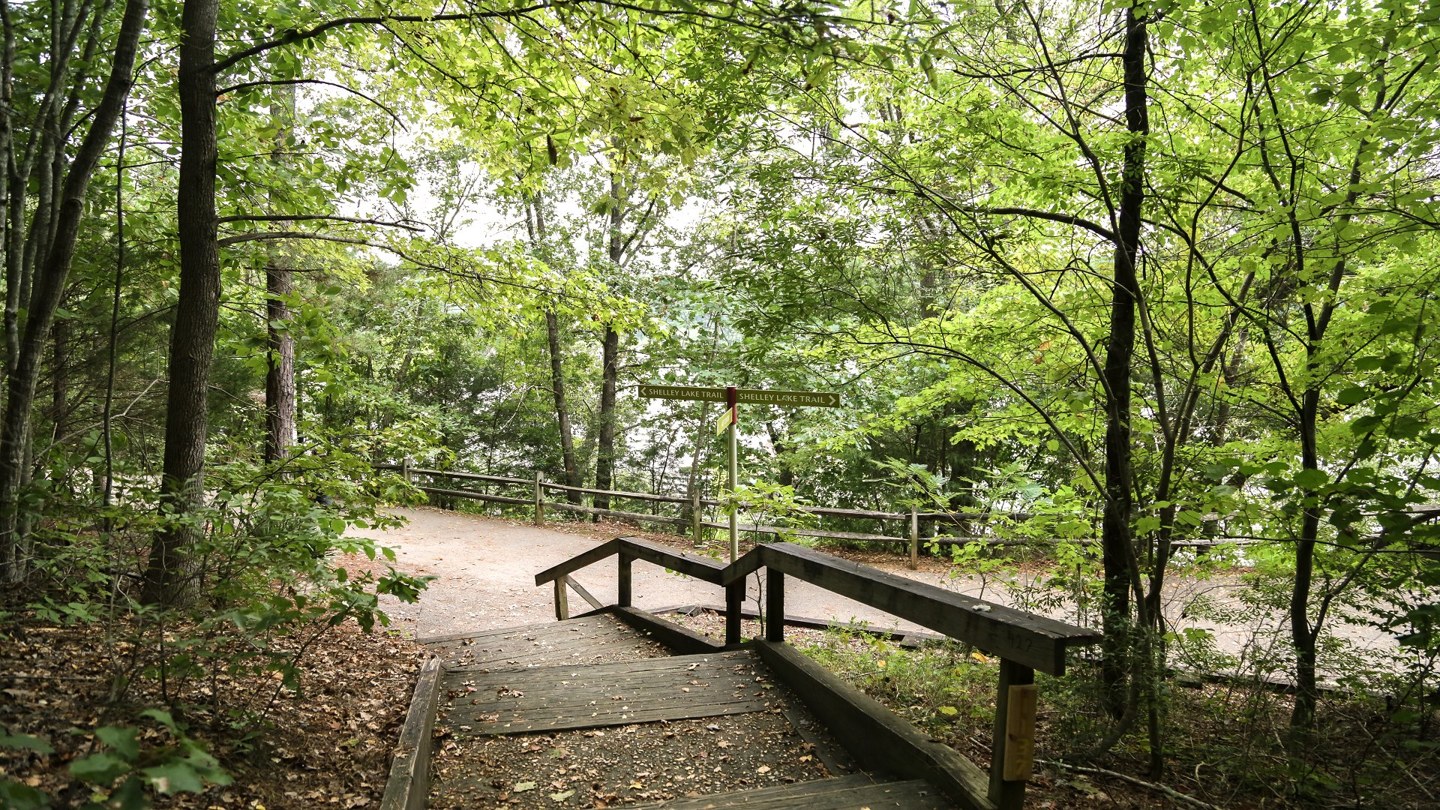 Scenic paved lakeside trail at Shelley Lake Park in Raleigh