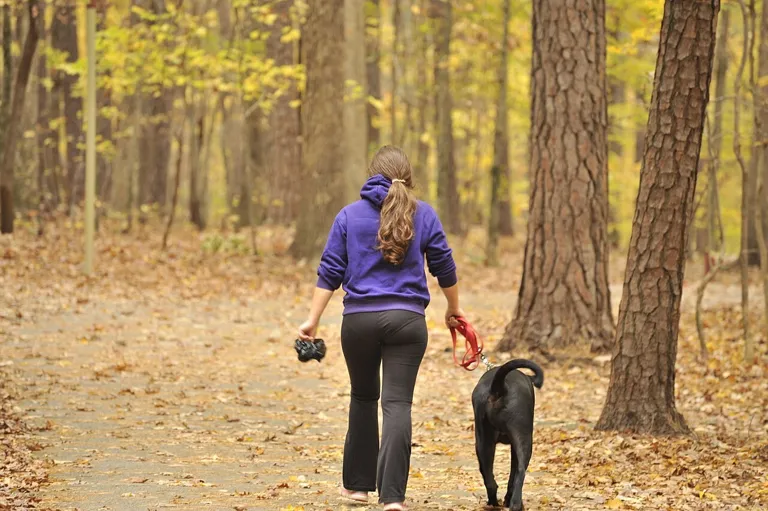 A walker with a dog along Lake Johnson in autumn