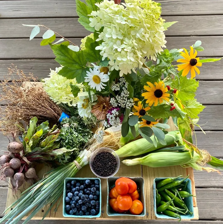 Harvested produce at Raleigh City Farm