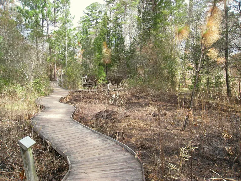 Boardwalk through the North Carolina Botanical Garden in Chapel Hill