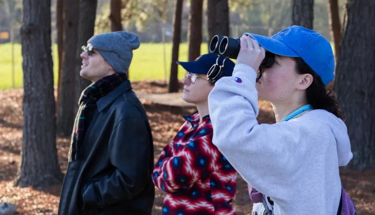 adults watching birds