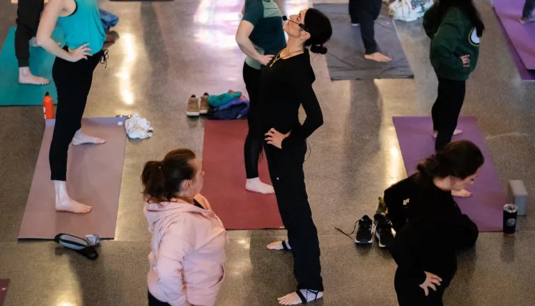 people in yoga positions
